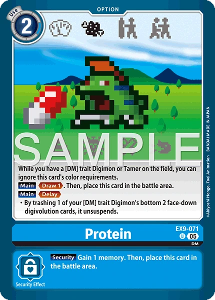 Protein